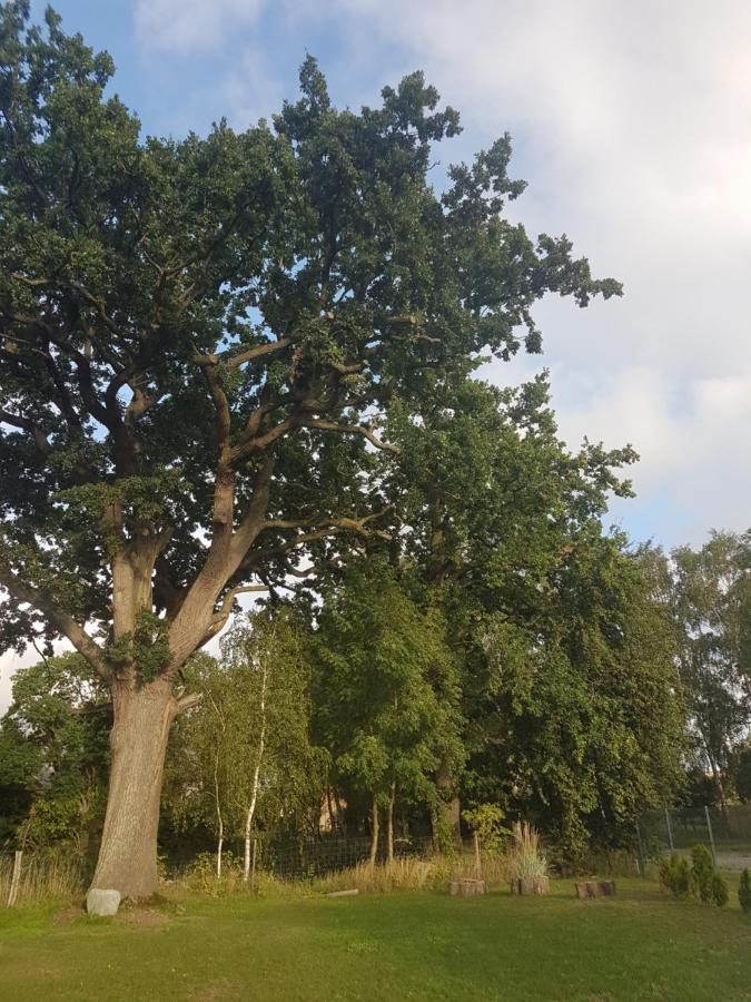 Oase Am Nationalpark Apartment Kargow Luaran gambar